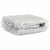 vidaXL Plant Cover Transparent, White PVC 6.6x9.8 ft Foldable