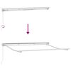 vidaXL Awning Frame Retractable Manual White 118.1" x 78.7