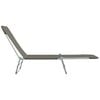 vidaXL Sunlounger Set of 2 Grey Powder-coated steel