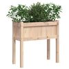 vidaXL Garden Planter Set of 2 Natural wood color