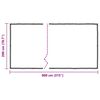 vidaXL Plant Cover Transparent and Black Polyethylene 6.6 x 26.2 ft