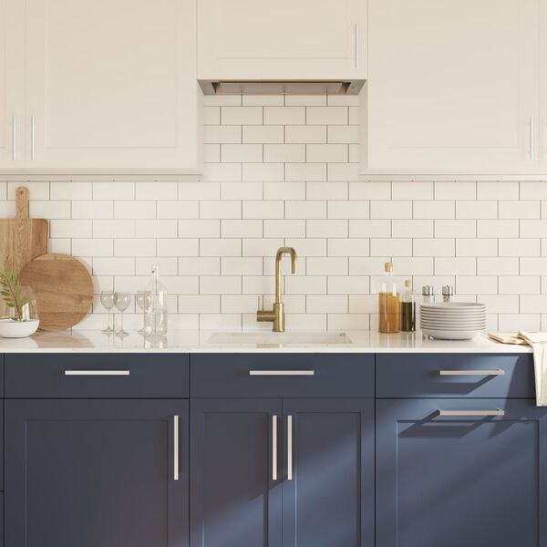 vidaXL Cabinet Handle Set of 10 Silver Stainless steel