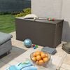 vidaXL Storage Box Brown Polypropylene (PP) with rattan look