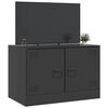 vidaXL TV Cabinet Black Cold-rolled steel 26.4x15.4x17.3 in TV Cabinet