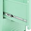 vidaXL Storage Cabinet Mint Steel Medium Storage Cabinet Rectangular