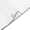 vidaXL Clear Tarpaulin with Eyelets 3.3x13.1' Polyethylene