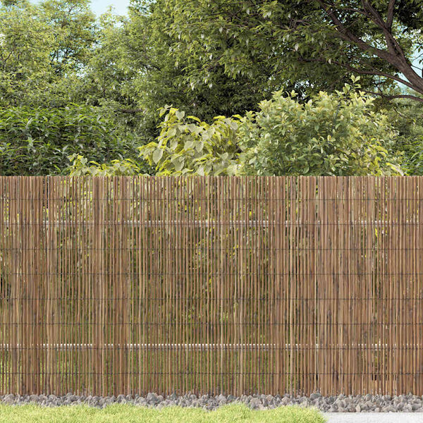 vidaXL Reed Fence Natural 196.85 x 55.12 in Reed