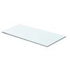 vidaXL Glass Panel Set of 2 Clear Tempered Glass 23.6 x 9.8 in