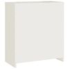 vidaXL File Cabinet White Powder-coated steel 31.1x15.7x35.4 in