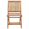 vidaXL Patio Chair Set of 2 Taupe, Natural Teak
