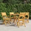 vidaXL Folding Garden Chair Set of 4 Natural Teak Solid teak wood