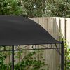 vidaXL Canopy Set of 2 Anthracite, Black Steel, Polyester Large