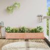 vidaXL Garden Planter Natural wood Solid Douglas wood Large