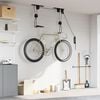 vidaXL Bike Hoists with Ceiling Mount 2 pcs 44.1 lb