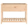 vidaXL Planter Natural Pine Solid Pine Wood Medium Planter Rectangular