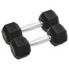 vidaXL Dumbbells 2 pcs 26.5 lb Total Cast Iron