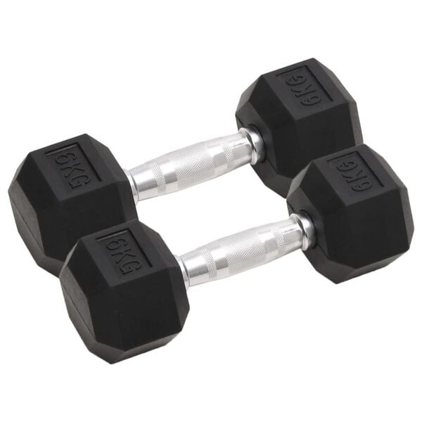 vidaXL Dumbbells 2 pcs 26.5 lb Total Cast Iron