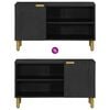 vidaXL TV Cabinet Black Engineered wood, solid mango wood, brass Small