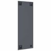 vidaXL Wall Mirror Rectangular 15.75 x 39.37 in Tempered Glass