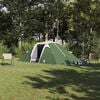 vidaXL Tunnel tent with Roof Green 200.79 x 94.49 x 61.42 in Taffeta