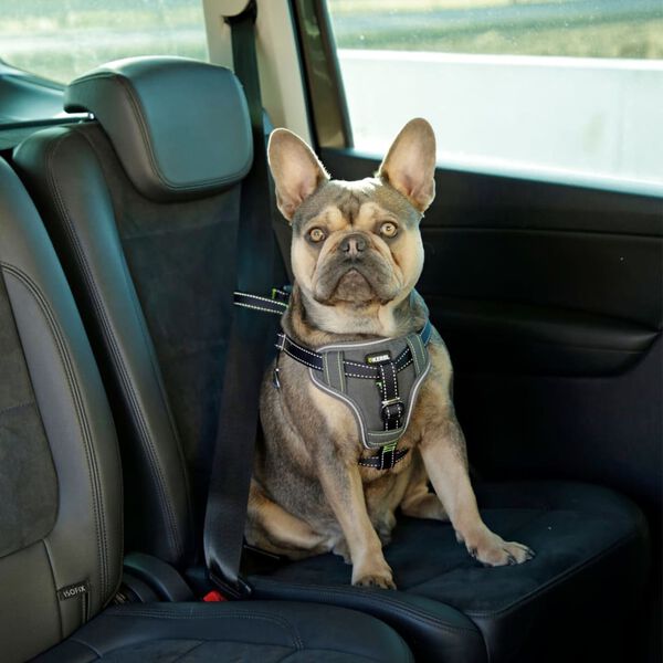 Kerbl Pet Car Safety Harness Black Nylon Adjustable Armrests Adjustable