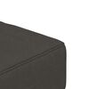 vidaXL Sofa Bed Dark Grey Velvet (100% polyester), wood, plastic 2-seater