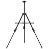 vidaXL Adjustable Display Easel Black Metal