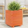vidaXL Garden Planter Wax Brown Solid Pine Wood Medium Decorative Inlays