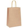 vidaXL Paper Bags 250 pcs with Handles Brown 15x8x21 cm
