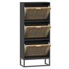 vidaXL Shoe Cabinet Black Engineered wood Medium Shoe Cabinet
