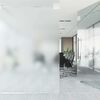 vidaXL Window Film Set of 3 Transparent Grey PVC 23.6 in wide