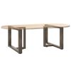 vidaXL Coffee Table Legs T-Shaped&nbsp;2 pcs Natural Steel 23.6 x 9.8 x (16.5-16.9) " Steel