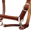 vidaXL Horse Headcollar Brown Buffalo Leather Cob Adjustable Armrests