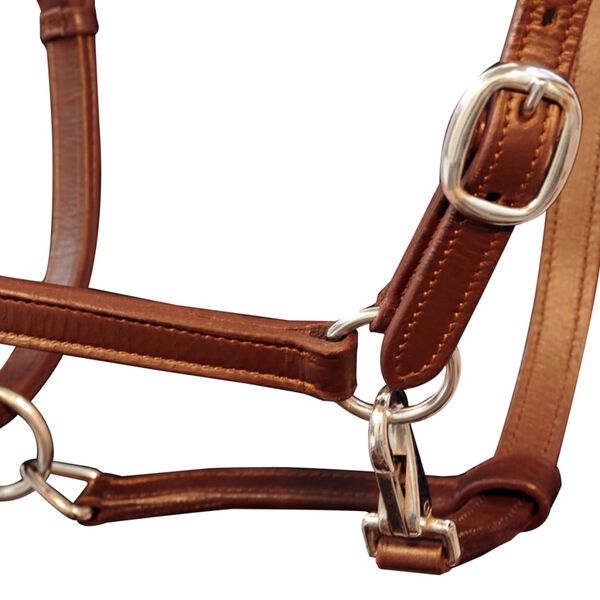 vidaXL Horse Headcollar Brown Buffalo Leather Cob Adjustable Armrests