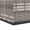 vidaXL Cushion Box Grey PE rattan 39.4x19.3x40.7 in Cushion Box