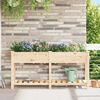 vidaXL Garden Planter Beige 63.58 x 17.72 x 30.12 in Solid Fir Wood