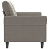 vidaXL 2-seater Sofa Light grey Velvet (100% polyester), metal, plywood