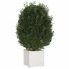 vidaXL Planter White Solid pinewood 15.7 x 15.7 x 15.7 in Planters