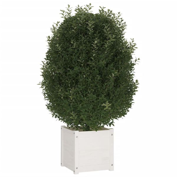 vidaXL Planter White Solid pinewood 15.7 x 15.7 x 15.7 in Planters