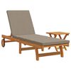 vidaXL Sun Lounger 2 pcs Brown 40 x 40 x 40cm Solid Acacia wood