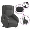 vidaXL Electric Stand Up Massage Recliner Chair Dark Grey