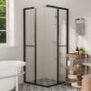 vidaXL Shower Cabin ESG 31.5"x31.5"x70.9"