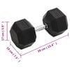 vidaXL Dumbbell 66.1 lb Cast Iron