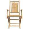 vidaXL Garden Chair Set of 2 Natural Bamboo Bamboo Medium Foldable