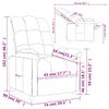 vidaXL Recliner Light Gray Fabric (100% polyester), Plywood, Iron Medium