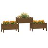vidaXL Planter Honey brown Solid pine wood Large Planters Planter
