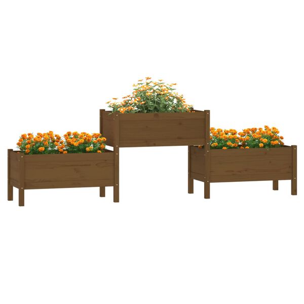 vidaXL Planter Honey brown Solid pine wood Large Planters Planter