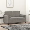 vidaXL 2-seater Sofa Light grey Velvet (100% polyester), metal, plywood