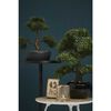 Emerald Artificial Ficus Mini Bonsai Green Polyethylene Small