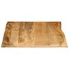 vidaXL Table Top Natural Wood Solid Mango Wood Large Table Top